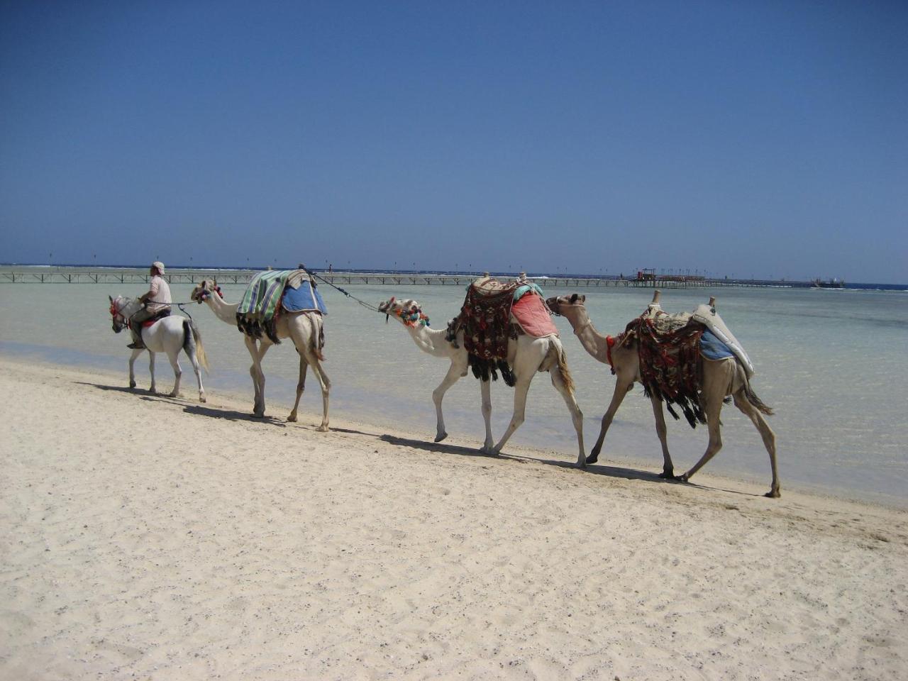 Bliss Marina Beach Resort Marsa Alam Esterno foto